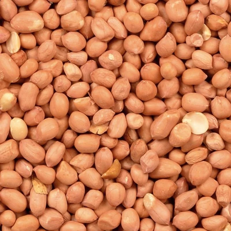 Arachides Pelées Extra Vacuum 25kg - Duvo 2 Arachides Pelées Extra Vacuum 25kg - Duvo – Image 2