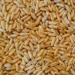 Avoine Pelée 25kg - Duvo -Beaphar Soldes Magasin avoine pelee 25kg duvo 615 duvo avoine pelee 25kg duvo 1