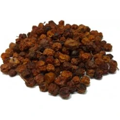 Baie De Sorbier Des Oiseleurs Au Kg - Ornibird -Beaphar Soldes Magasin baie de sorbier des oiseleurs au kg ornibird 103041250 kg grizo baie du sorbier en fruit seche dont les becs crochus indigenes e 3