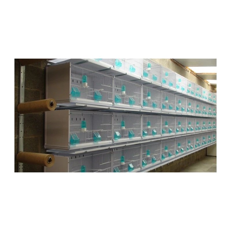 Batterie De 12 Cages 64x30x34 Modèle Champion- New Canariz 20 Batterie De 12 Cages 64x30x34 Modèle Champion- New Canariz – Image 20