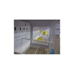 Batterie De 12 Cages 64x30x34 Modèle Champion- New Canariz 24 Batterie De 12 Cages 64x30x34 Modèle Champion- New Canariz -Beaphar Soldes Magasin batterie de 12 cages 64x30x34 modele champion new canariz 3000 new canariz livree avec un systeme de rouleaux de papier comme fo 4