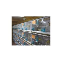 Batterie De 12 Cages 64x30x34 Modèle Champion- New Canariz 25 Batterie De 12 Cages 64x30x34 Modèle Champion- New Canariz -Beaphar Soldes Magasin batterie de 12 cages 64x30x34 modele champion new canariz 3000 new canariz livree avec un systeme de rouleaux de papier comme fo 5
