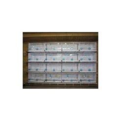 Batterie De 12 Cages 64x30x34 Modèle Champion- New Canariz 29 Batterie De 12 Cages 64x30x34 Modèle Champion- New Canariz -Beaphar Soldes Magasin batterie de 12 cages 64x30x34 modele champion new canariz 3000 new canariz livree avec un systeme de rouleaux de papier comme fo 9