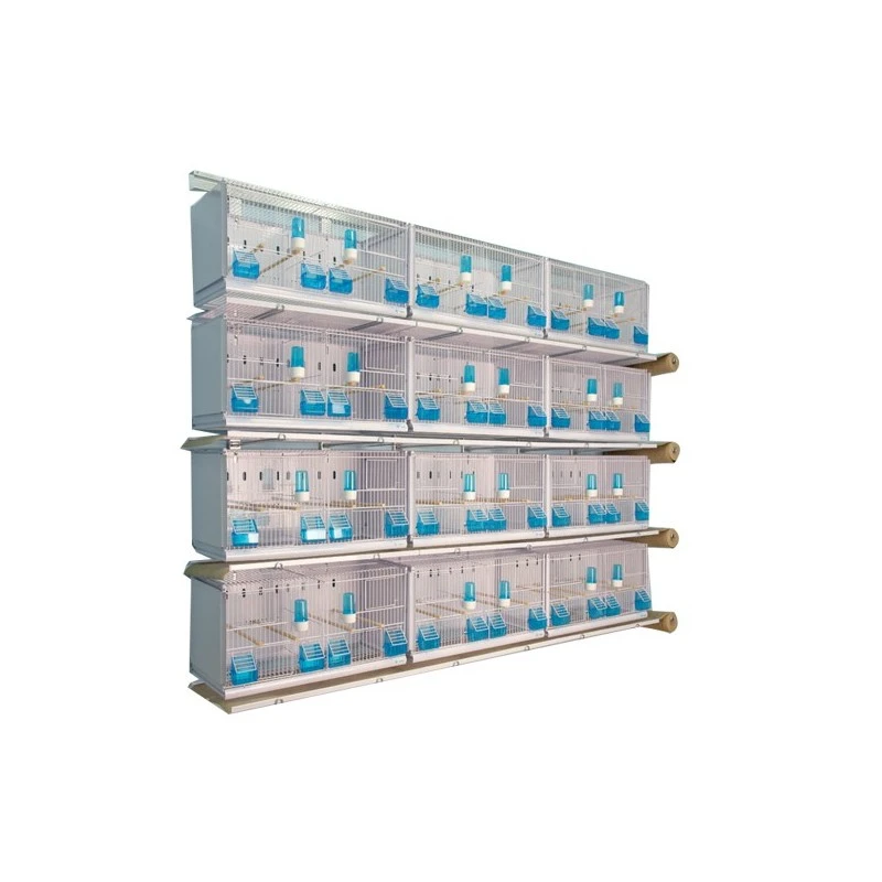 Batterie De 12 Cages 64x30x34 Modèle Champion- New Canariz 1 Batterie De 12 Cages 64x30x34 Modèle Champion- New Canariz