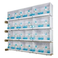 Batteries De 12 Cages 58x30x36 - Modèle Victoria - New Canariz