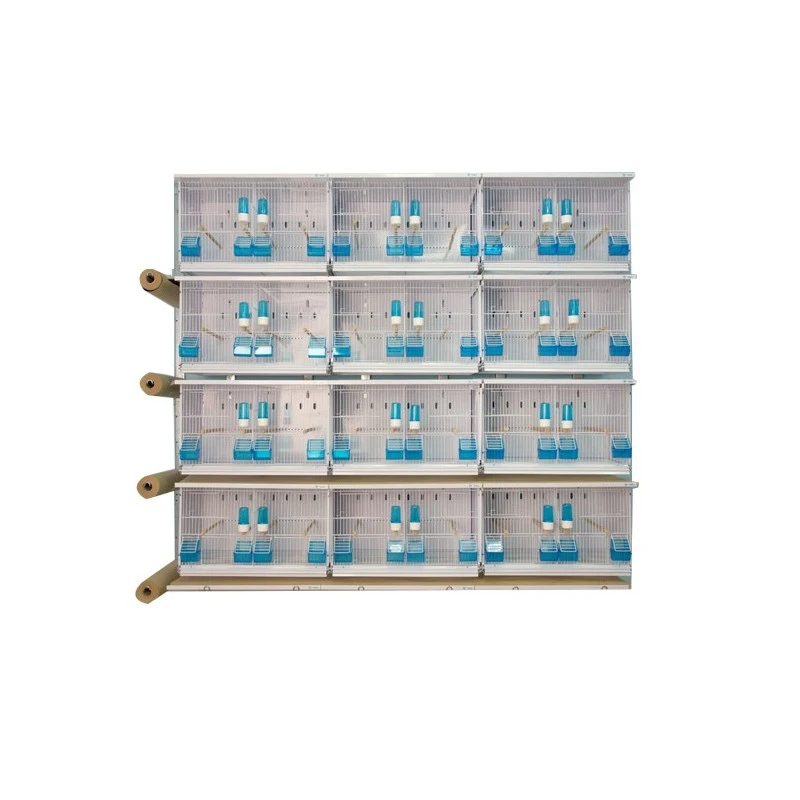Batteries De 12 Cages 63x40x40 - New Canariz 1 Batteries De 12 Cages 63x40x40 - New Canariz