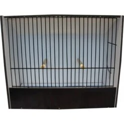 Cage Exposition Indigène Noir 15 Cm En PVC