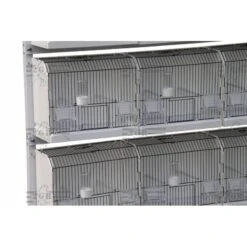 Cage Exposition Plastique 36x17x30cm - 2G-R -Beaphar Soldes Magasin cage exposition plastique 36x17x30cm 2g r art 315fn3 2g r cage de preparation avec facade noire 1 porte centrale avec ressort et 3
