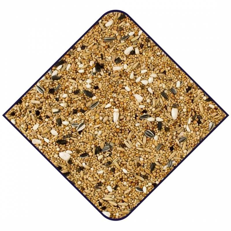 Expert Base Grandes Perruches 20kg - Witte Molen 2 Expert Base Grandes Perruches 20kg - Witte Molen – Image 2