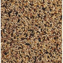 Devant -Beaphar Soldes Magasin n34 voliere 20kg deli nature 006534 deli nature est un melange contenant une grande variete de graines afin que chaque oiseau y 1 1