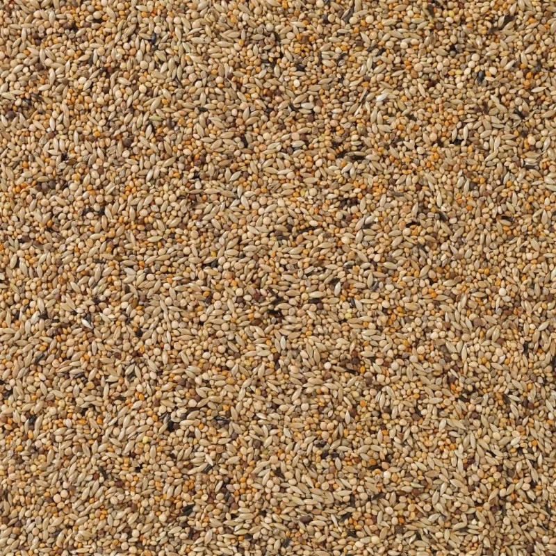 N°84 APV Gould 20kg - Deli Nature 2 N°84 APV Gould 20kg - Deli Nature – Image 2