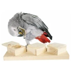 Tasses D'entraînement Cérébral 22,5x8cm - Back Zoo Nature