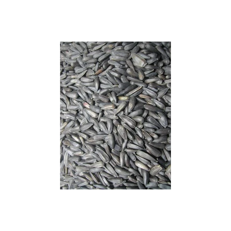 Tournesol Noir Micro Oiseaux Du Pays 25kg - Grizo 1 Tournesol Noir Micro Oiseaux Du Pays 25kg - Grizo