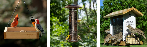 Devant -Beaphar Soldes Magasin banner166