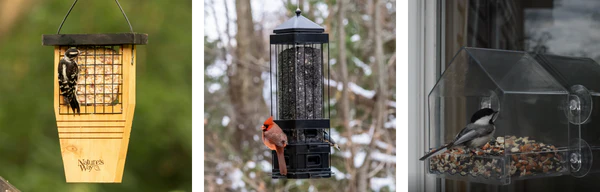 Devant -Beaphar Soldes Magasin banner167