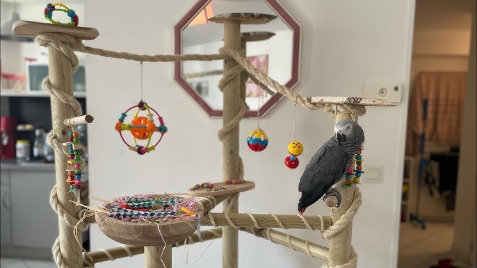 Devant -Beaphar Soldes Magasin banner763